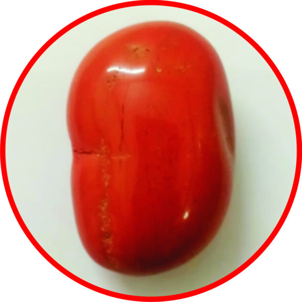 S9061-38-02 - Aadhyathmik Natural Sonabhadra Ganapathi for Panchayatan Puja with Natural Scars 2inch 82grams