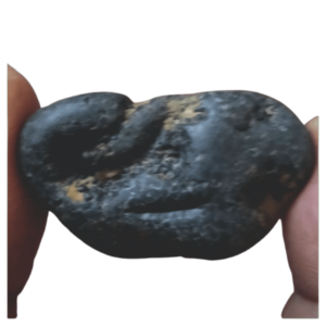 Purushotham Shaligram