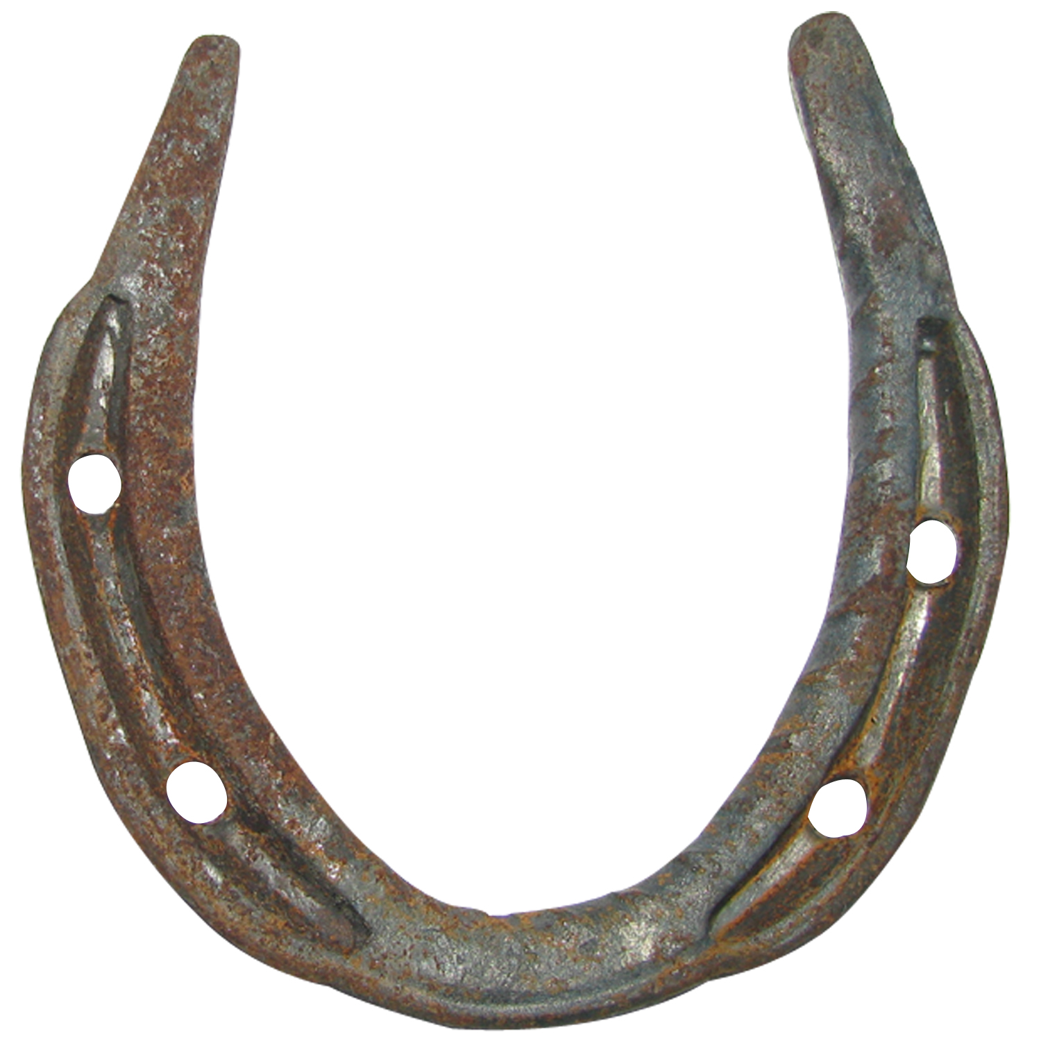 Types Of Horse Shoes