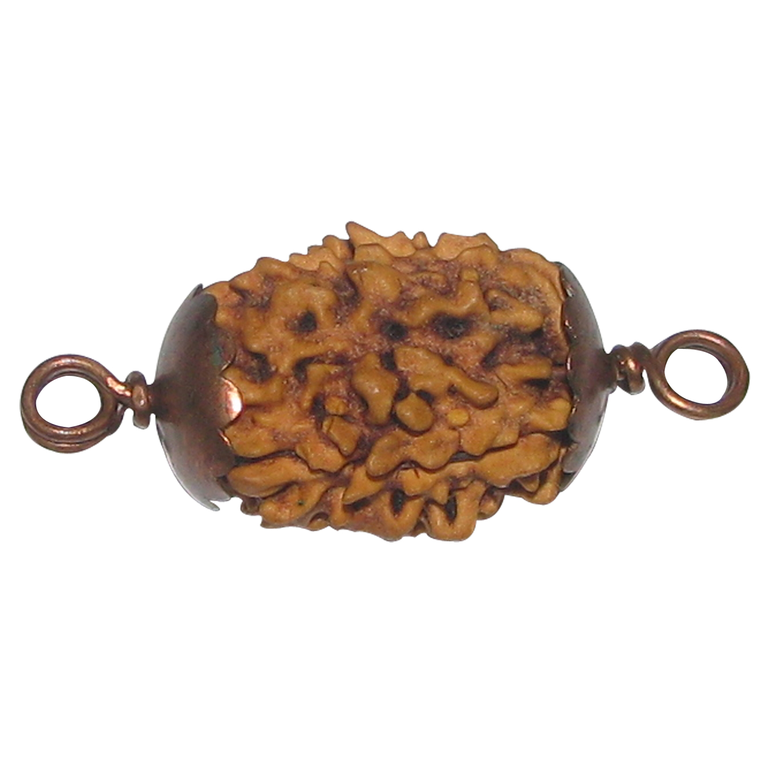 Three Mukhi Rudraksha (3 Face) Teen Mukhi Rudraksha Copper Pendant - A1007-2C