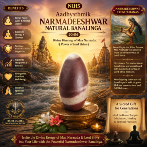 NLH5 - Aadhyathmik Narmadeeswar Natural Banalinga 20mm 4grams