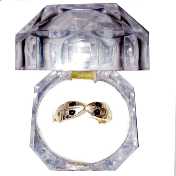 Nag Dosh Kalasarp Nivaran Silver Ring Adjustable Kalsarp - S9007-02 ...