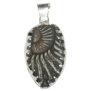 Aadhyathmik Surya Narayana Shaligram Shila Silver Pendant Saligram Sila Silver Kavach Salagram Stone Silver Locket Saligramam Murti Of Gandaki River for Political Gain - S963838
