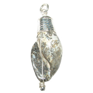 Shatrughna Balamuri Shankh Shila Naturally Formed With Natural Scars (Not ManMade) Silver Pendant - S953458