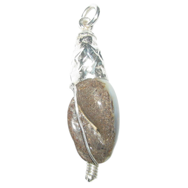 Shatrughna Balamuri Shankh Shila Naturally Formed With Natural Scars (Not ManMade) 2 Inch - S953468