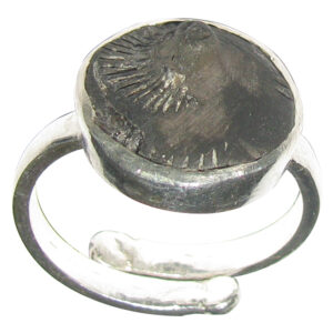 Aadhyathmik Kailash Manasarovar Hari Hara Shaligram Shila Silver Ring Saligram Sila Silver Ring Salagram Stone Silver Ring Saligramam Murti Of Gandaki River - S963889