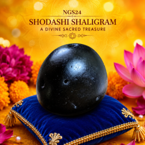 NGS24 - Shodashi Shaligram Aadhyathmik Original Natural Sacred from Nepal Gandhaki Nadhi 1.5inch 54grams