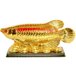 Aadhyathmik Arowana Fish for Vasthu Bestows Happiness, Great Love, Health, Wealth, Prosperity, and Personal Power 6.5Inch Wide - S917298-02