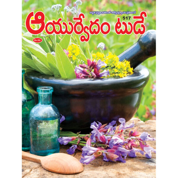 Issue No. 520 Set of 6 Telugu Magazines BakthiToday భక్తిటుడే AyurvedamToday ఆయుర్వేదం టుడే JyotishyamToday జ్యోతిష్యం టుడే Balabharathi బాలభారతి YogaToday యోగ టుడే NaatuVaidhyam నాటు వైద్యం - M517 - Image 2