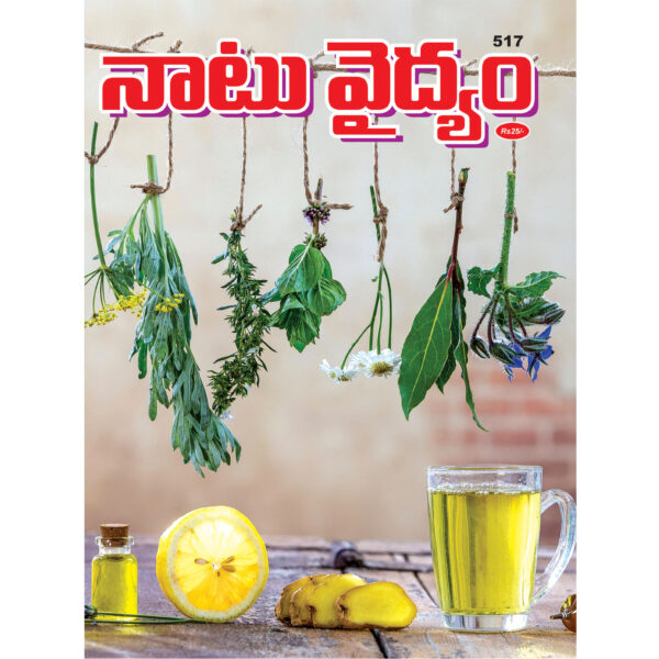Issue No. 520 Set of 6 Telugu Magazines BakthiToday భక్తిటుడే AyurvedamToday ఆయుర్వేదం టుడే JyotishyamToday జ్యోతిష్యం టుడే Balabharathi బాలభారతి YogaToday యోగ టుడే NaatuVaidhyam నాటు వైద్యం - M517 - Image 4