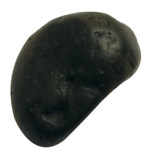 Aadhyathmik 100% Original Natural Sacred Hayagreeva Hayagriva Shaligram Shila from Nepal Gandhaki Nadhi Salagram Shalagram 1.5inch 62g - S9067-29