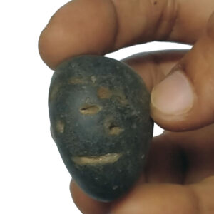 Aadhyathmik 100% Original Natural Sacred Mathsya Shaligram Shila from Nepal Gandhaki Nadhi Salagram Shalagram 1inch 48g - S9067-38