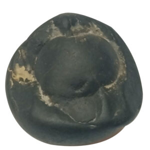 Aadhyathmik 100% Original Natural Sacred Hiranyagarbha Shaligram Shila from Nepal Gandhaki Nadhi Salagram Shalagram 1inch 46grams - S9067-51