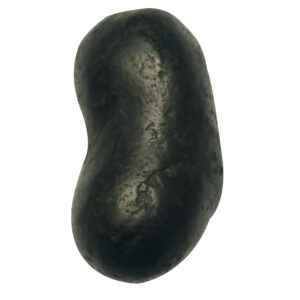 Aadhyathmik 100% Original Natural Sacred Santhan Gopal Shaligram Shila from Nepal Gandhaki Nadhi Salagram Shalagram 2inch 60grams - S9067-56