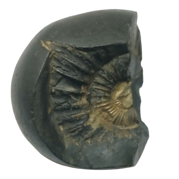 Aadhyathmik Bhuvaneswari Das Maha Vidya Shaligram Shila from Nepal Gandhaki Nadhi 100% Original Natural Sacred Salagram Shalagram 2inch 102grams with golden sheen in the centre and for Panchayatan Puja Also - S9067-62