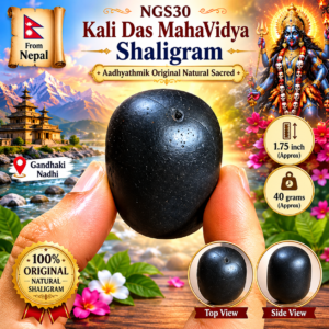 NGS30 - Kali DasMahaVidya Shaligram Aadhyathmik Original Natural Sacred from Nepal Gandhaki Nadhi 1.75inch 40grams