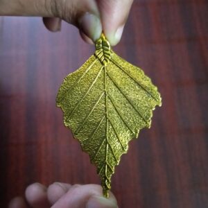 Rak1 - Aadhyathmik Bodhi Patra Raksha Multi Metal