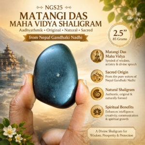NGS25 - Matangi Das Maha Vidya Shaligram Aadhyathmik Original Natural Sacred from Nepal Gandhaki Nadhi 2.5inch 85grams