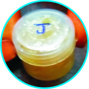 Aadhyathmik Javadhu 1gram - S9070-02