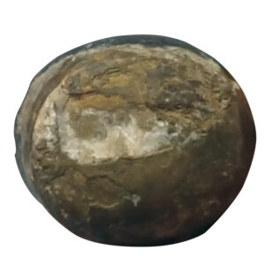 S9041-18 - Aadhyathmik Sidh Abhimantrit Energised Natural Kailash Shila 2.5inch 240grams