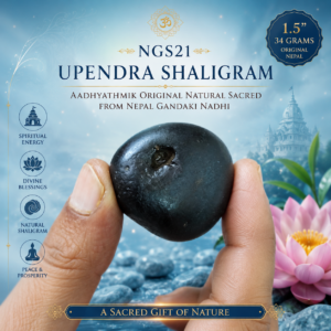 NGS21 - Upendra Shaligram Aadhyathmik Original Natural Sacred from Nepal Gandhaki Nadhi 1.5inch 34grams