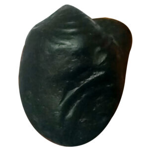 S9067-69-02 - Aadhyathmik Dhanvantri Amrutha Kalash Shaligram Shila from Nepal Gandhaki Nadhi 100% Original Natural Sacred Salagram Shalagram 1¼inch 24grams Also for Panchayatan Pooja