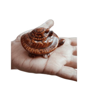 S9071-12 - Aadhyathmik Vishesh Vasthu Kurma Vasthu Remedy To Remove Vasthu Defects 3inch 60grams