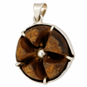 Adrindra Pushpam Raja Tantra Silver Pendant for RajaYoga Natural from Himalayas Adhrindra Pushpa - S951438