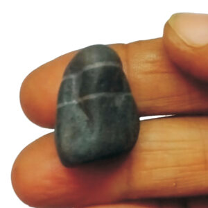 S9067-105 - Aadhyathmik 100% Original Natural Sacred Subrahmanya Ganesh Shaligram with two Vanamalas going all around the Salagram from Nepal Gandhaki Nadhi 1inch 10grams