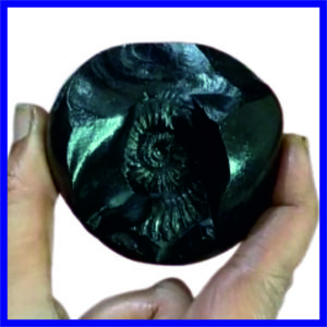 Lakshmi Narayana Shaligram