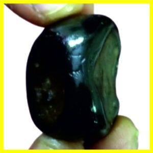NGS15 - Trivikrama Shaligram Aadhyathmik Original Natural Sacred from Nepal Gandhaki Nadhi 1.5inch 30grams