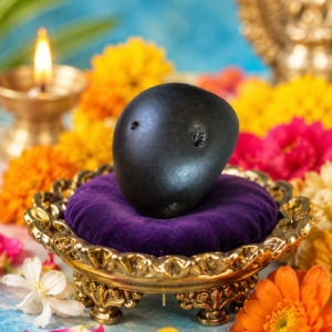 NGS22 - Vamana Shaligram Aadhyathmik Original Natural Sacred from Nepal Gandhaki Nadhi 1.5inch 33grams