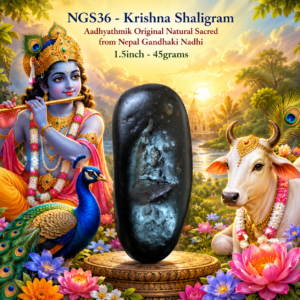 NGS36 - Krishna Shaligram Aadhyathmik Original Natural Sacred from Nepal Gandhaki Nadhi 1.5inch 45grams