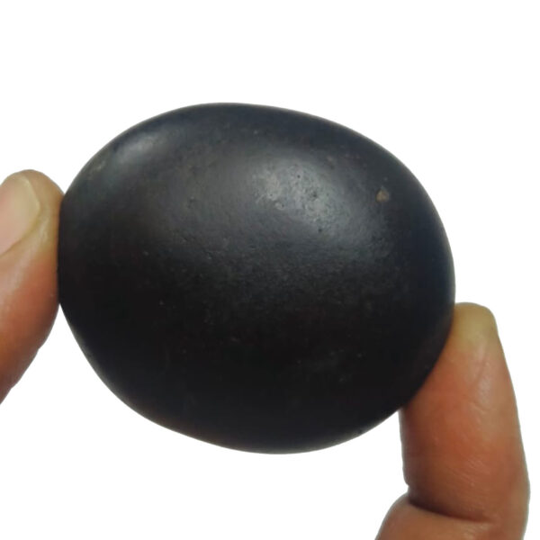 S9067-120 - Surya Narayana Shaligram Aadhyathmik Original Natural Sacred from Nepal Gandhaki Nadhi 2inch 82grams