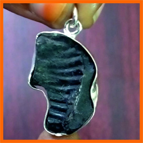 S9058-284-02 - Aadhyathmik Vishnu Shaligram Silver Pendant 1inch 6grams