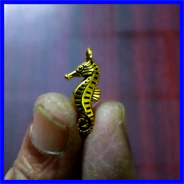 MMP0004 - Aadhyathmik Energised Ashwa Meen Multi Metal Pendant 0.5inch 1gram