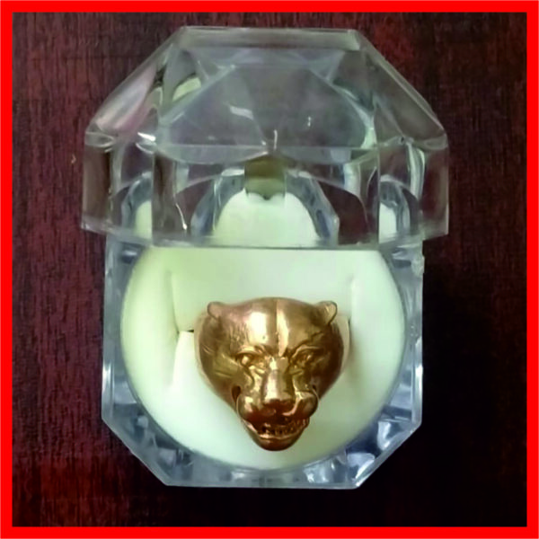 5LR0006 – Aadhyathmik Powerful Durga Vyagra Puli Tiger Panchaloha Aimpon Panjalogam Panchalogam Panchadathu Ring - Image 2
