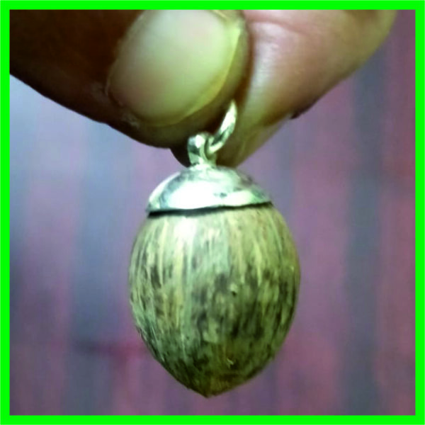 SP0004 - Aadhyathmik Natural Rama Tenkai Kavach Silver Pendant 1inch for Lakshmi Kataksh Dhanakarshan