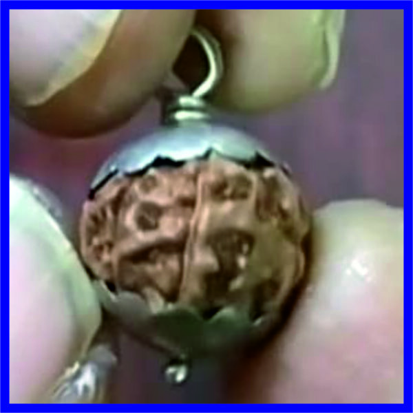 11MR-I-SP-0001 - Aadhyathmik Ekadasha Rudraksha Chandi Kavach Eleven Face Silver Pendant 11 Mukhi Vendi Locket 11 Mugam Velli Locket 12mm