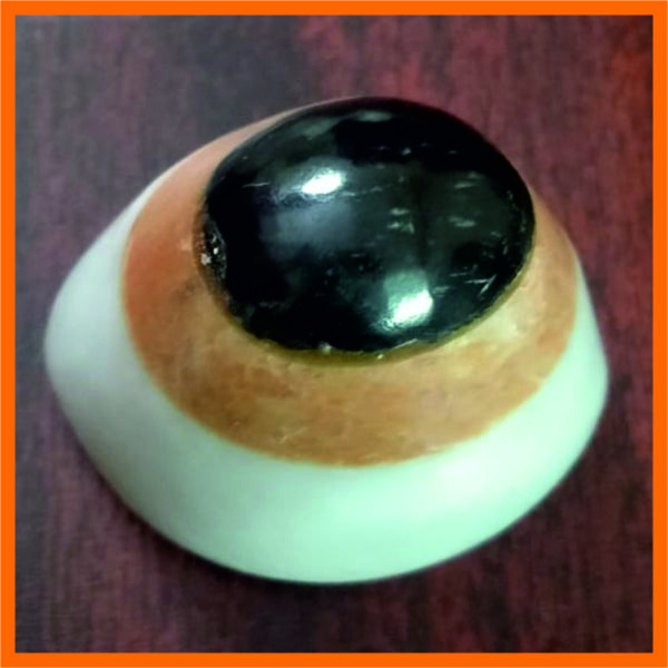 EE0001 - Aadhyathmik Rare Big Chadhu Chakshu Evil Eye Kan Drishti Nivaran Uparathna 2inch 85grams