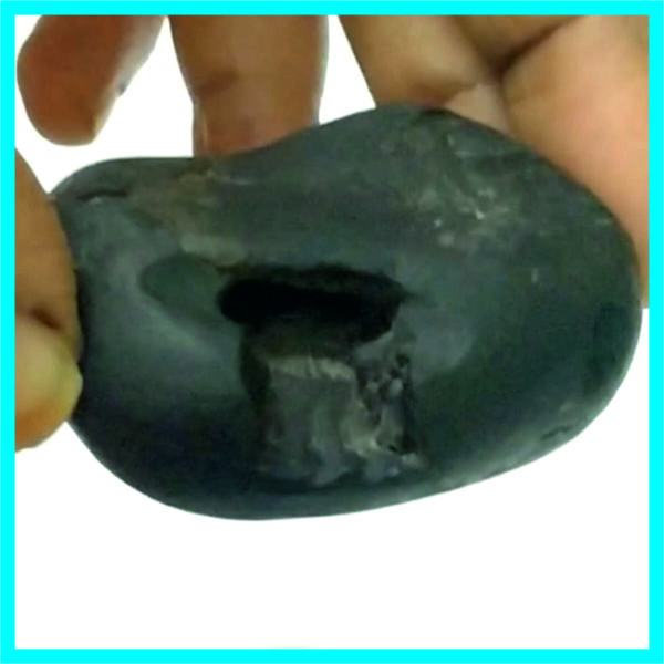 NGS0001 - Very Rare Lakshmi Narasimha with Kailash Mansarovar Shaligram Aadhyathmik Original Natural Sacred from Nepal Gandhaki Nadhi 2.25inch
