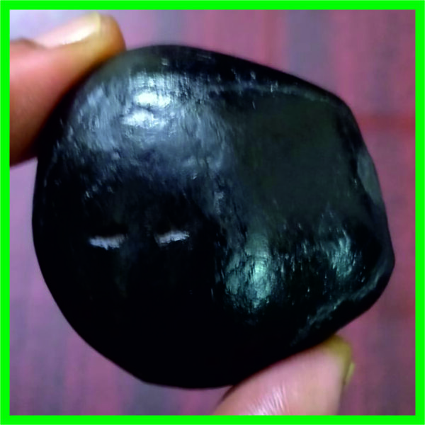 NGS0003 - Varahi Shaligram Aadhyathmik Original Natural Sacred from Nepal Gandhaki Nadhi 2inch 98grams