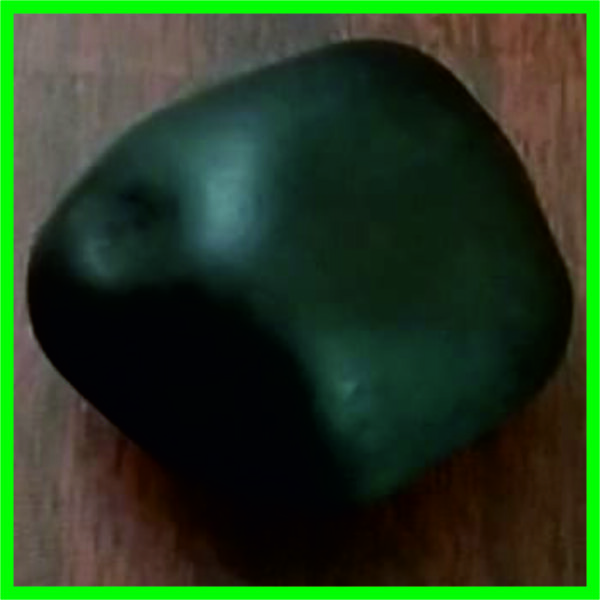 NGS0002 - Mathsya Shaligram Aadhyathmik Original Natural Sacred from Nepal Gandhaki Nadhi 1.75inch 76grams