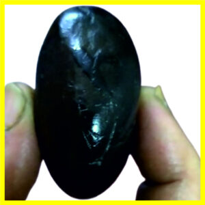 NGS13-01 - Kamakhya Devi Shaligram Aadhyathmik Original Natural Sacred from Nepal Gandhaki Nadhi 2inch 68grams
