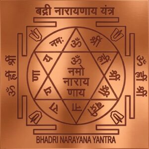 Buy Bhadri Narayana Yantra Copper