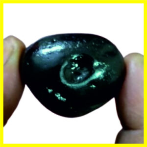 NGS14 - Vamana Shaligram Aadhyathmik Original Natural Sacred from Nepal Gandhaki Nadhi 1.5inch 38grams