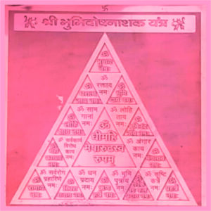 Y725 - Aadhyathmik Bhumi Dosh Nashak Copper Yantra Yantr Yanthiram Yendhiram 4inch 28grams