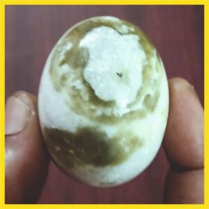 BL1 - Aadhyathmik Rare Lakshmi Kuber Banalingam Narmada 2inch