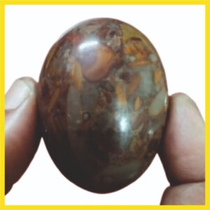 BL2 - Aadhyathmik Rare Banalingam Narmada 2inch