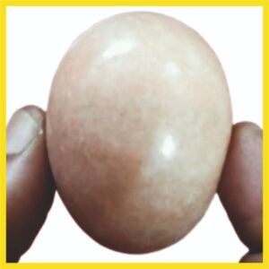 BL3 - Aadhyathmik Rare Banalingam Narmada 2inch